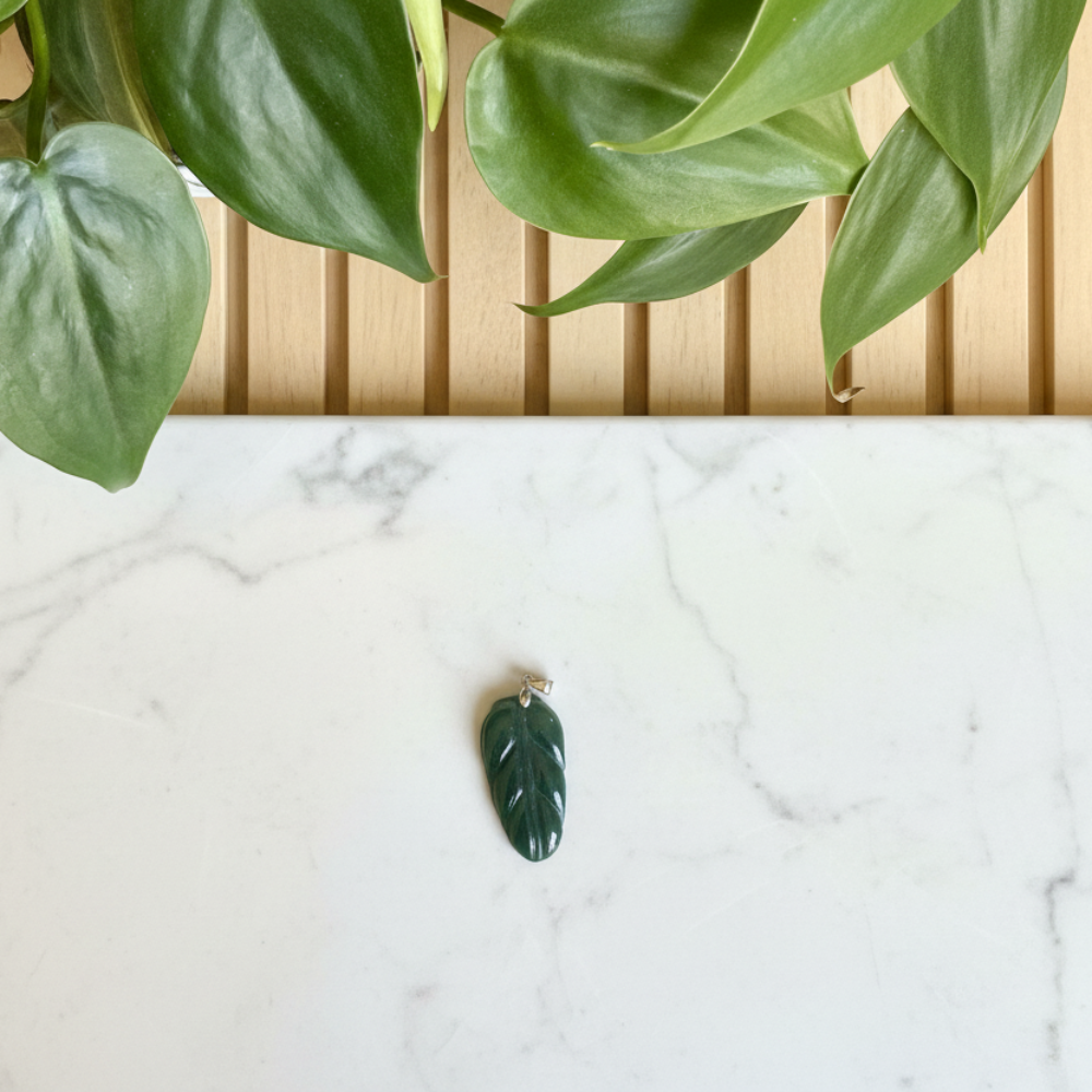 White ceramic dish with a green leaf on a white counter with a plant in the background