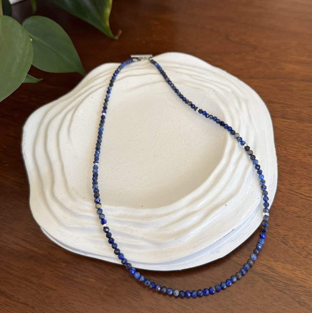 Blue beaded necklace on a white shell with green leaves in the background